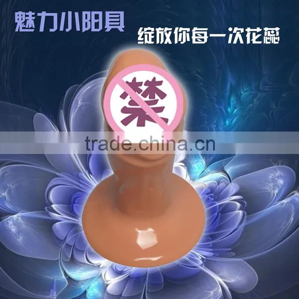 Sex Vibrator Dildo For Women Sex Artificial Penis Male Dildo photo-2