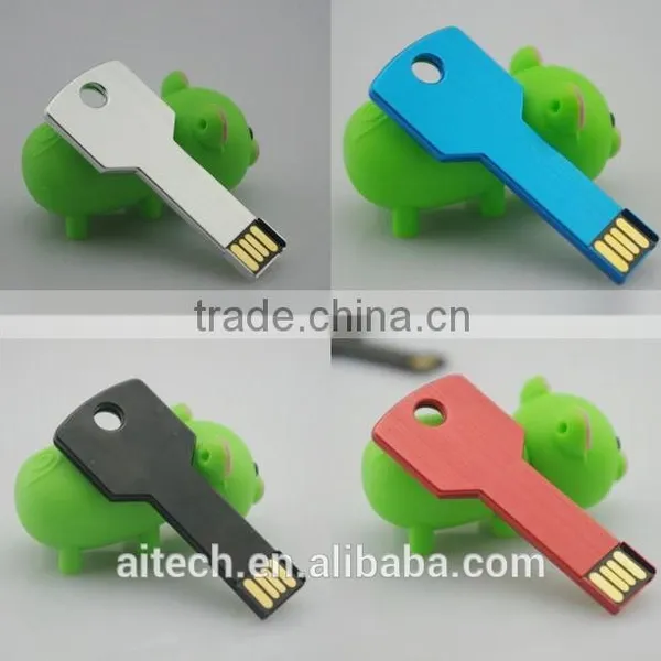 Hot Sale Metal USB Key 8gb for Promotional Gifts With Life Warranty photo-4
