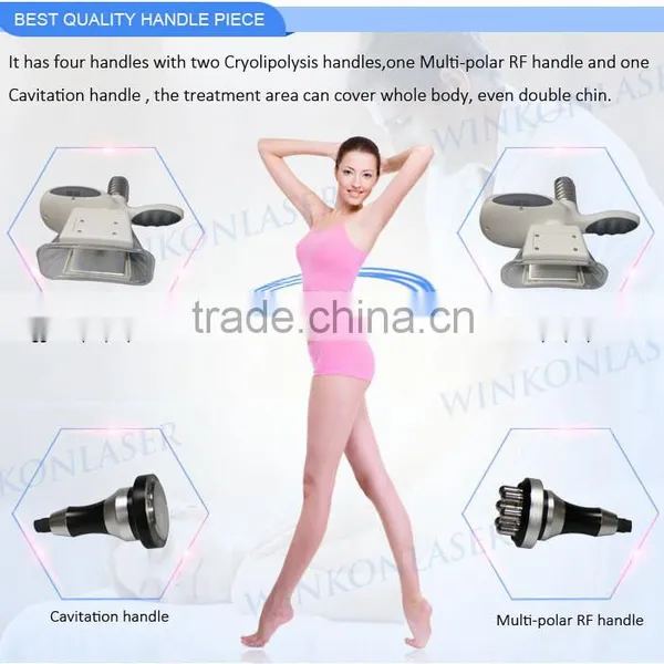 Fat Melting Cryolipolysis Machine For Sale / Vertical Chinese Factory Price Cryolipolysis For Salon Slimming Reshaping photo-4