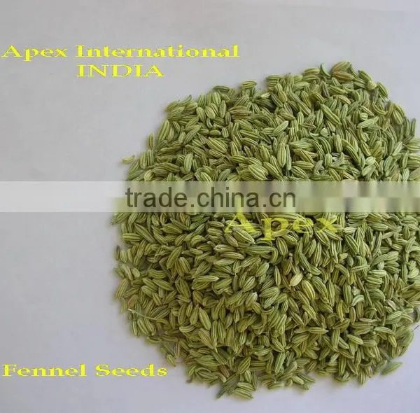 Apex Supplies Quality Foeniculum Vulgare Fennel / Foeniculum Vulgare / Fennel Seeds / Saunf photo-2
