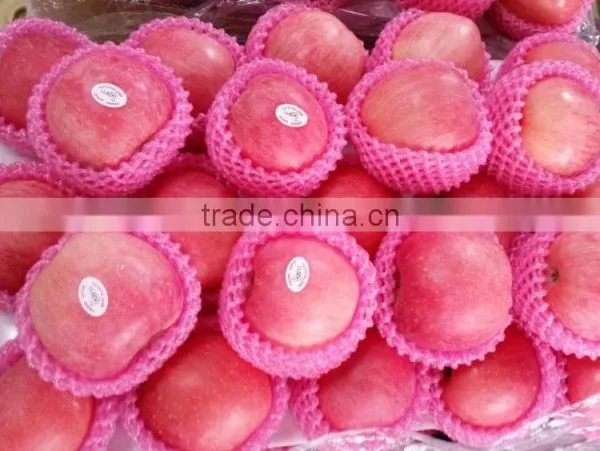Hot Sale Chinese Fuji Apple photo-4