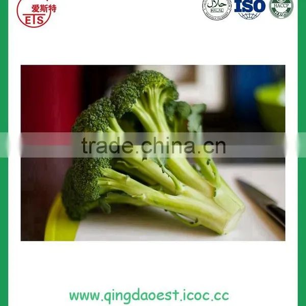 Wholesale Fresh Broccoli for Sale photo-4