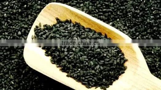 Immunity System Booster Nigella Sativa Seed Extract Clear Plastic Capsules ... photo-6