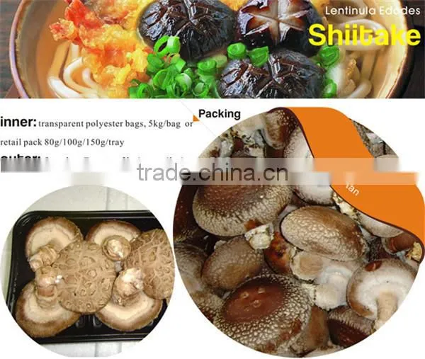 Dried Pleurotus Eryngii Mushroom Manufacturer in China photo-5