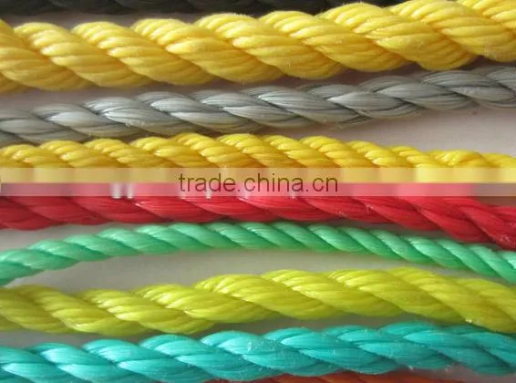 Plastic Rope With High Quality and Competitive Price photo-4