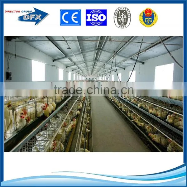 Hot Sell Heat Insulation Chicken Egg Farm Building photo-2