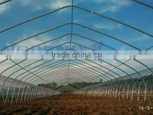 Tunnel Single Span Film Greenhouse