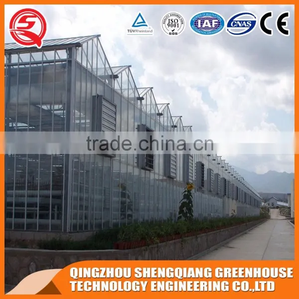 Factory Outlet Large Multi-span Glass Agricultural-commercial Greenhouses photo-3