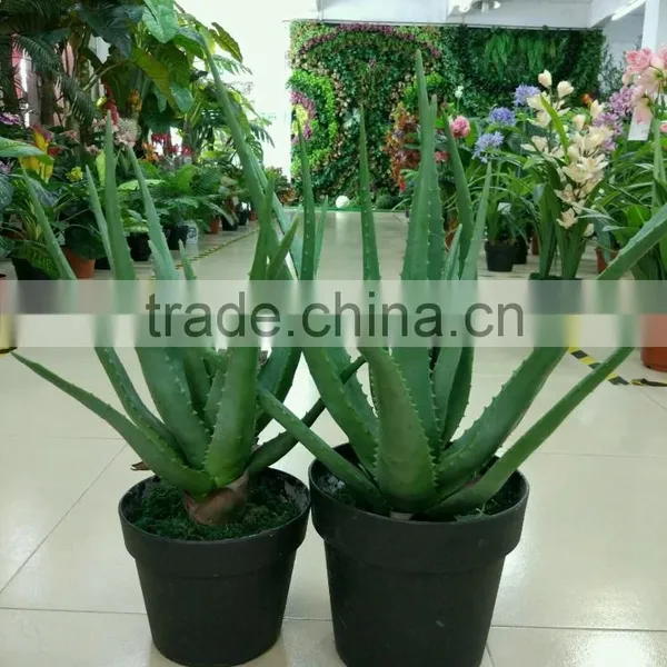 Landscaping Orgament Plant/Artificial Bonsai Plant/fake Aloe Vera Plant photo-3