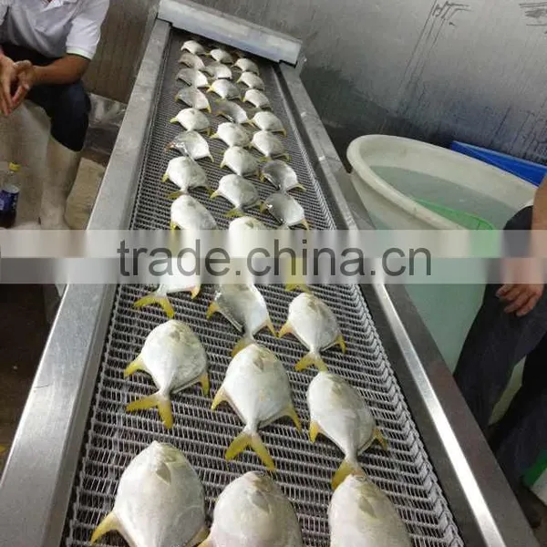 Silver Pomfret Fish photo-2