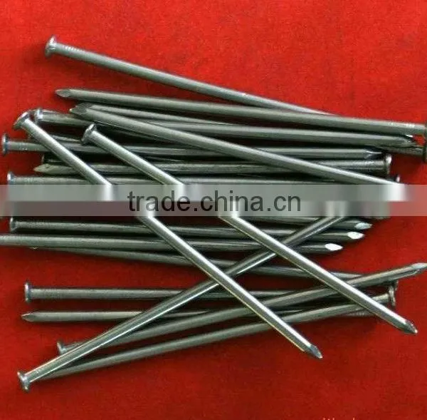 Polished Common Round Iron Wire Nails photo-2