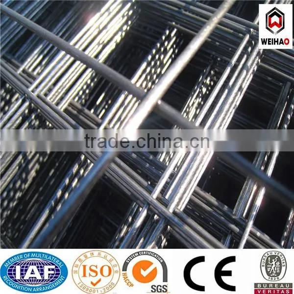 Quality and Economical Galvanzied Welded Wire Mesh photo-3