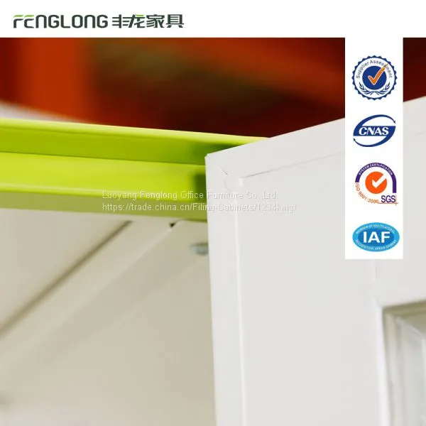 Modern and Hot Luoyang 2 Glass Doors Office Metal Filing Cabinet With Shelf and Drawers photo-5