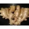 Ginger Extract