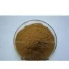 Reishi Mushroom Extract