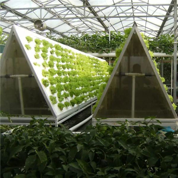 Hydroponic Glass Greenhouse for Lettuce/Tomato/Strawberry photo-4