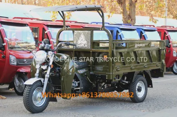 Gasoline Tricycle Cargo Loader Lovol Three Wheeler Mali Ethiopia Ghana Bukina Faso Tanzania Kenya Senegal Togo Benin Nigeira Mauritania Angola Burundi Chad Cameroon C ô te D'Ivoire Gabon Guinea Mozambique Rwanda Congo Uganda Zimbabwe photo-2