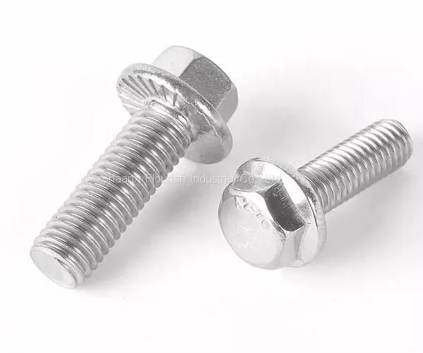 Metric Stainless Steel Hex Cap Serrated Flange Bolt With Nuts photo-3
