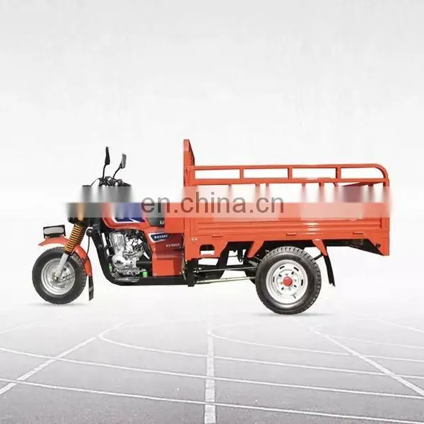 Hot Sell Tricycle Adult Motorized Gas 3 Wheel Scooters Cargo Tricycle, Factory Price photo-2
