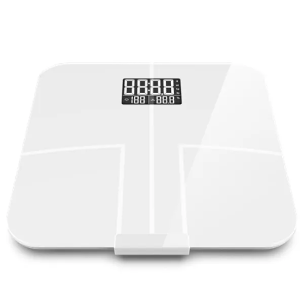 Body Fat Scale EF-918B4PL photo-3