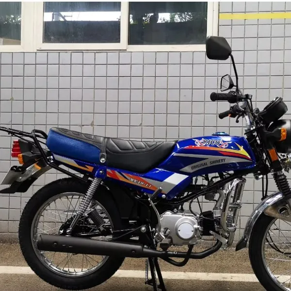 2024 Cheap Import Mozambique Motorcycles for Sale Lifo Rico XY49-10 XY49-11gasoline Streetbikes Moto 49cc Boxer Motorcycle 110cc