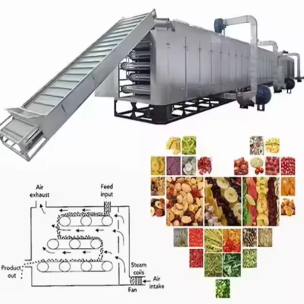 Hot Sale Commercial Fruit Vegetable Dehydrating Machine Banana Chips Food Oil Water Dehydrater Dehydration Machine photo-2