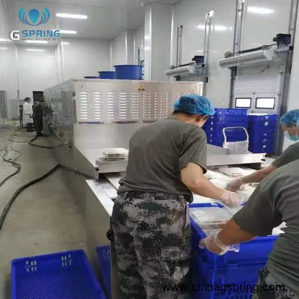 SUS304 Stainless Steel Microwave Drying Machine for Fast Food Industrial Drying and Sterilization Belt Drying Machine photo-3