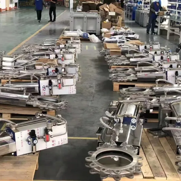 Stainless Steel 316 Knife Gate Valve With ANSI Class 150 Flange
