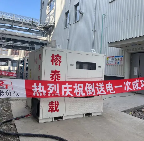 Back‑feed Dummy Load Test photo-5