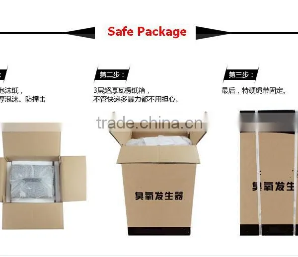 LY 903A Ozone Sterilizer Machine for Car,house Room,food,air photo-3