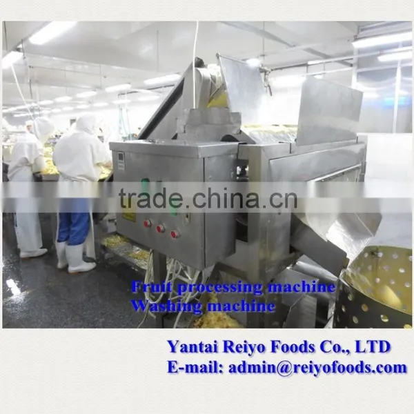 Impurity Removing and Cleaning Machine / Fruits and Vegetables Cleaning Machine photo-3
