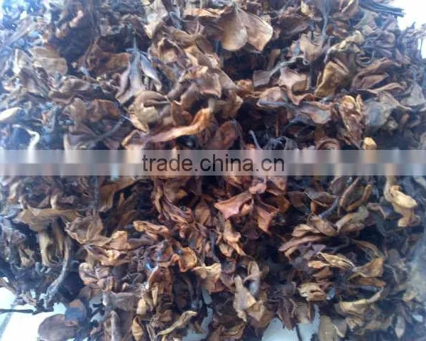 Dried Moringa Flower, Jasmine Flower, Vertiver Root and Masoia Bark at Good Price and Quality