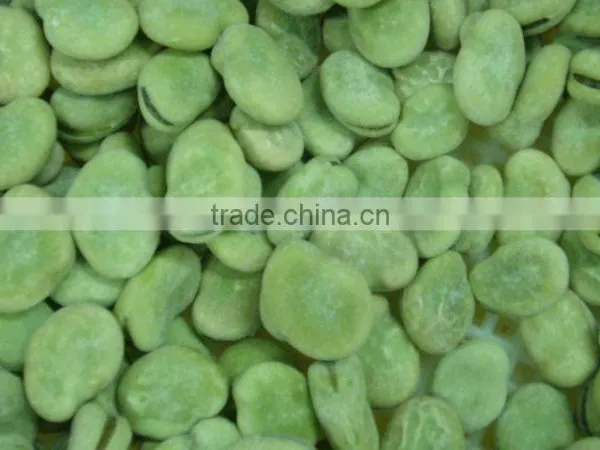 IQF frozen broad beans and iqf broad beans price