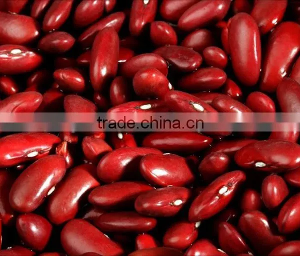 We Are Supply Kidney Beans, Dark Red Kidney Beans for Sale photo-5
