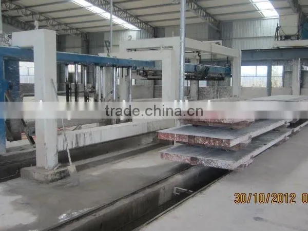 TOP Quality Autoclaved Aerated Concrete Blocks Making Plant for Sales - TIANYUAN BRAND photo-3