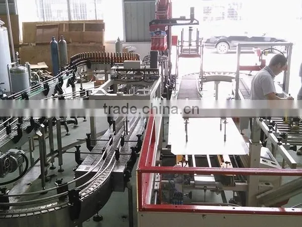 Case Packer/Case Packing Machine photo-4