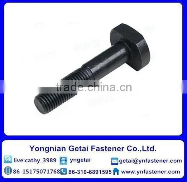 T Shape Bolts for Slot, DIN933/931 H.D.G / Galvanized With Black /yellow Zinc Plated/blue White photo-2