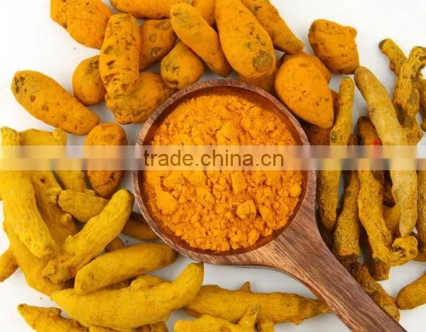 ISO Certified Turmeric From India