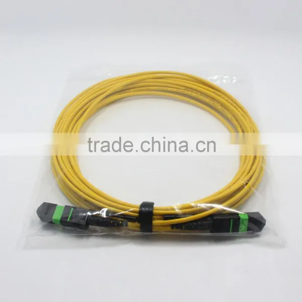 High Quality SM MTP 12 Cores Patch Cord From Factory photo-5