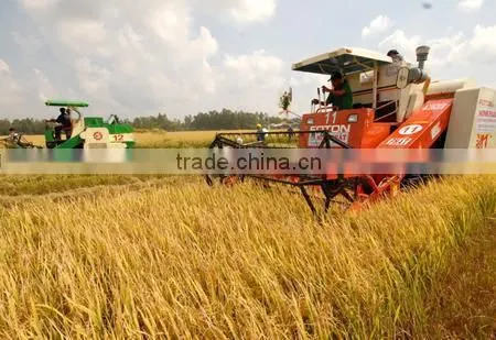 Vietnam Medium White Rice 5% Broken photo-3