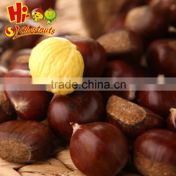 Wholesale IQF Chestnuts Bulk Frozen Chestnuts From China photo-6