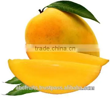 Supplier of Mango Pulp