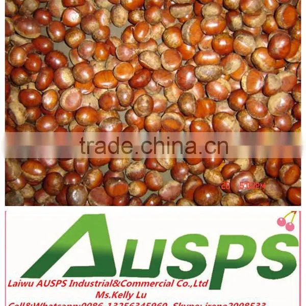 2014 Crop Chinese Fresh Chestnut photo-3