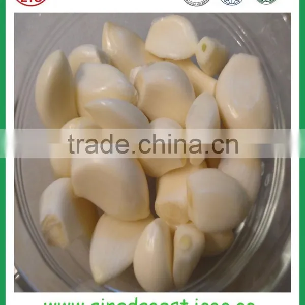 Fresh White Garlic From Chinese Garlic Hometown Jinxiang photo-5