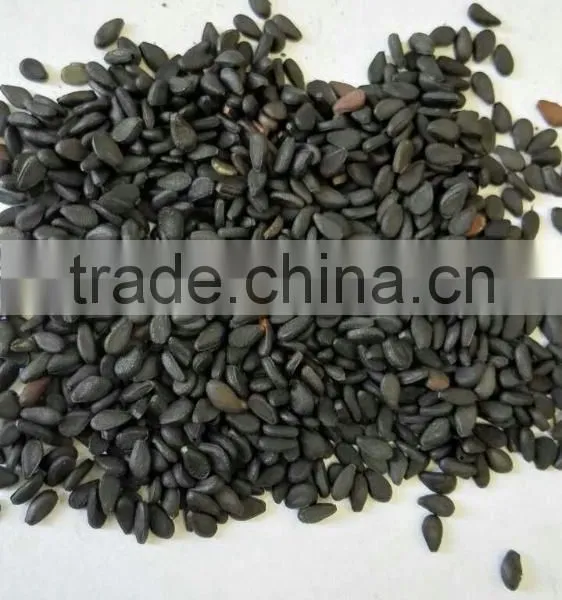 Double Skin Black Sesame
