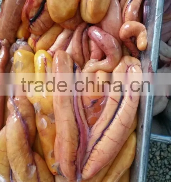 Frozen Mullet Roe