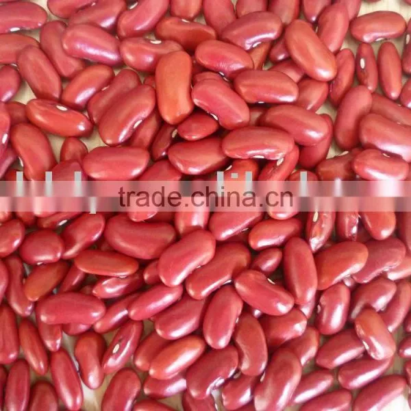 Organic Dark Red Kidney Beans