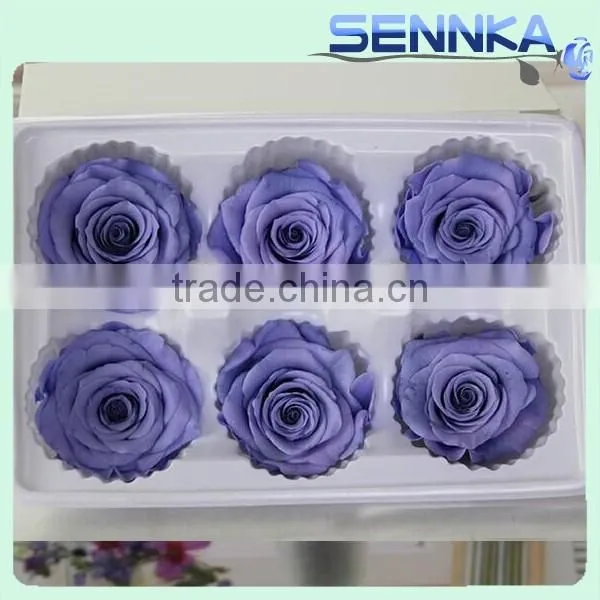 High Quality Pretty Color Preserved Rose Flower in New Products 2016 photo-2