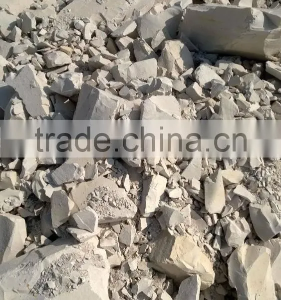 Diatomaceous Earth Powder photo-6