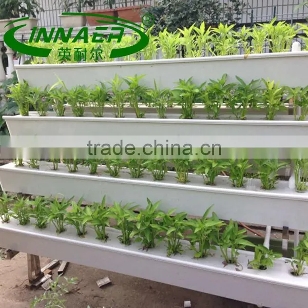 High Quality Vegetable Planting Groove for Vegetable